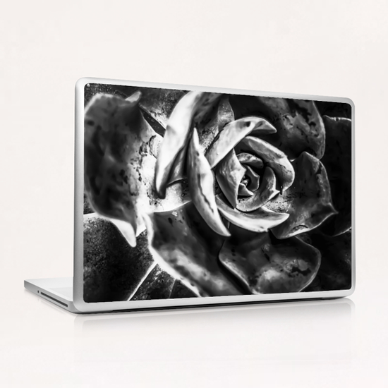 closeup succulent plant in black and white Laptop & iPad Skin by Timmy333