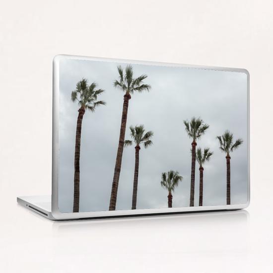 Palma esotica Laptop & iPad Skin by Salvatore Russolillo