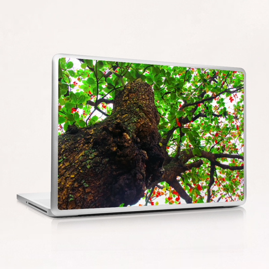 big tree with green leaves and red leaves Laptop & iPad Skin by Timmy333